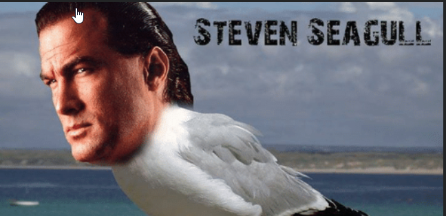Steven Seagal Abnormal Moments